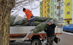 Idą Święta, idą Święta