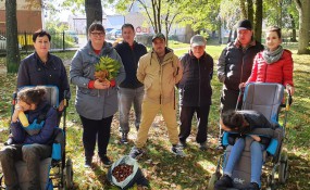 Silwoterapia i arteterapia jesienią…