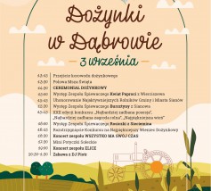 Dożynki Gminne w Dąbrowie