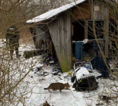 Z pomocą dla osób bezdomnych