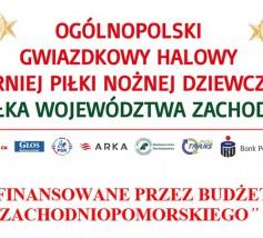 TURNIEJ GWIAZDKOWY W SIANOWIE