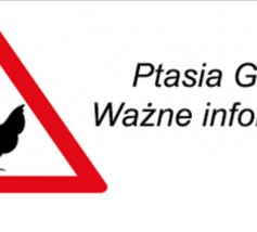 ROZPORZĄDZENIE NR 1/2022 POWIATOWEGO LEKARZA WETERYNARII W KOSZALINIE