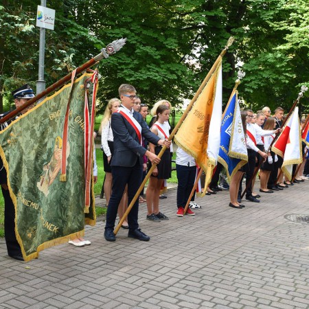 Wyświetl org. rozmiar
