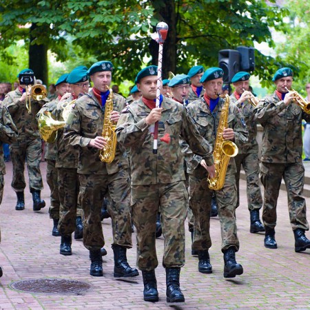 Wyświetl org. rozmiar