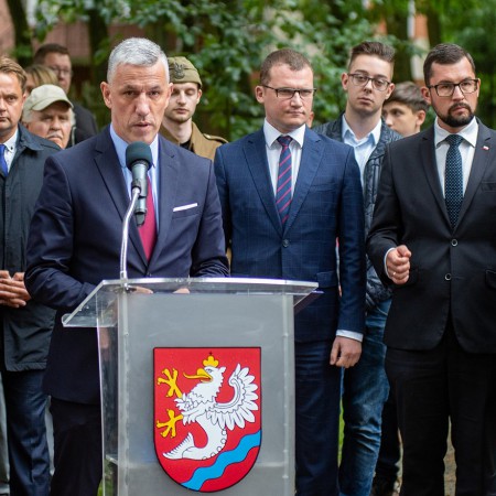 Wyświetl org. rozmiar