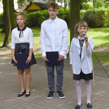 Wyświetl org. rozmiar