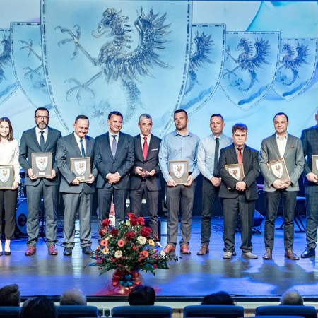 Wyświetl org. rozmiar