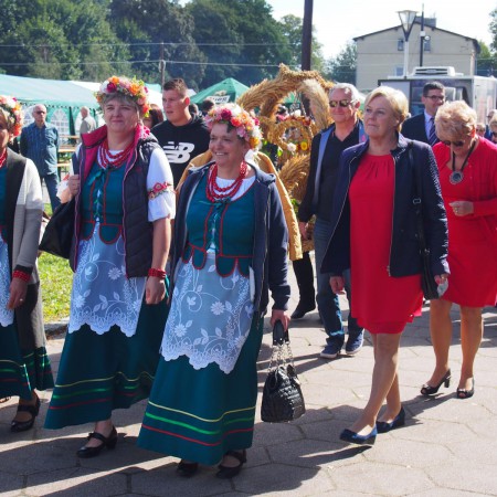 Wyświetl org. rozmiar
