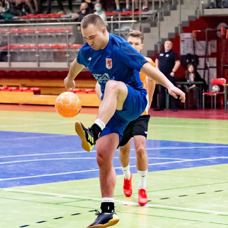 Wyświetl org. rozmiar