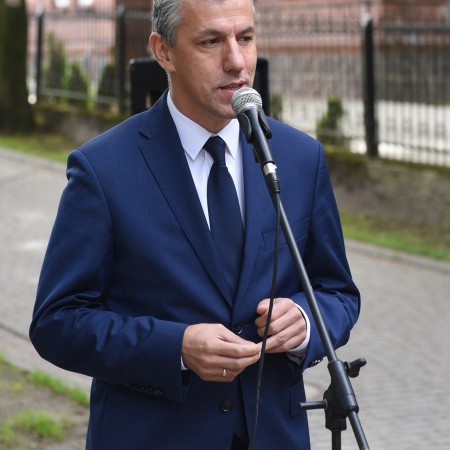 Wyświetl org. rozmiar