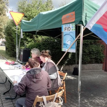 Wyświetl org. rozmiar