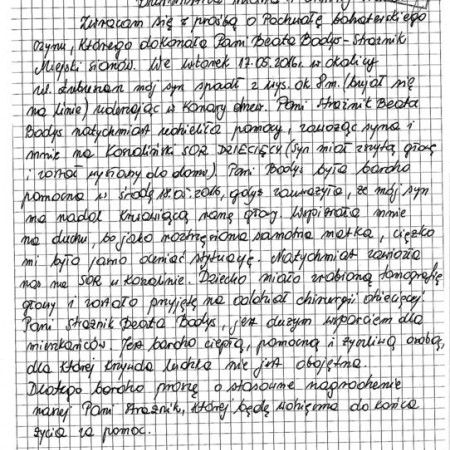 Wyświetl org. rozmiar