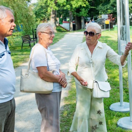 Wyświetl org. rozmiar