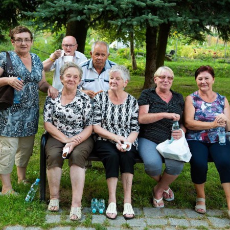 Wyświetl org. rozmiar