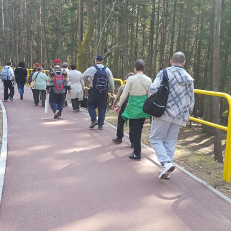 Wyświetl org. rozmiar