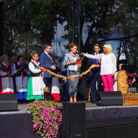 Wyświetl org. rozmiar