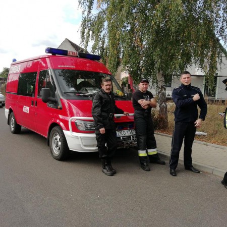 Wyświetl org. rozmiar