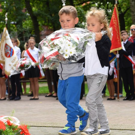 Wyświetl org. rozmiar