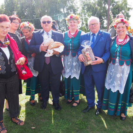 Wyświetl org. rozmiar