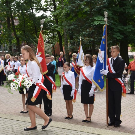 Wyświetl org. rozmiar