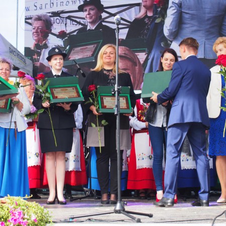 Wyświetl org. rozmiar