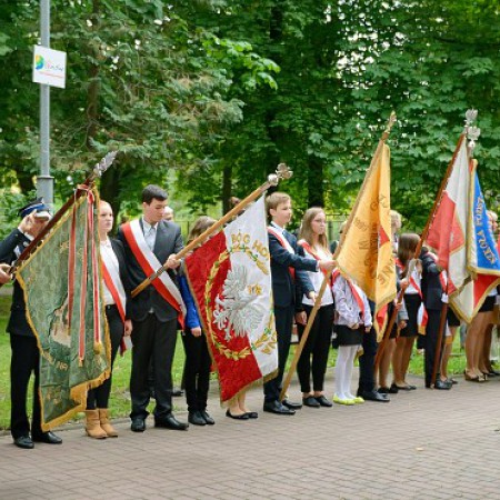 Wyświetl org. rozmiar