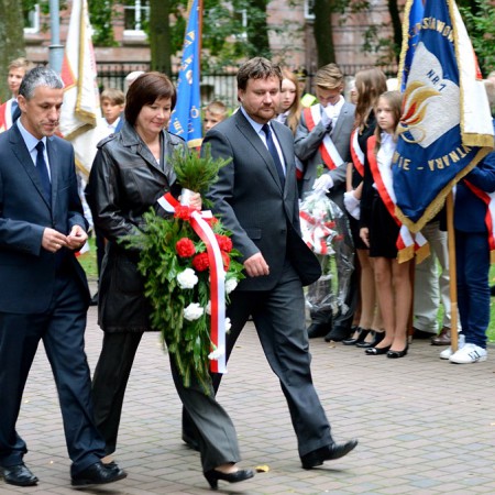 Wyświetl org. rozmiar