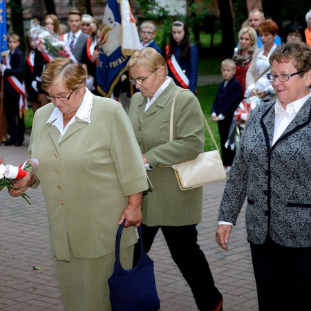 Wyświetl org. rozmiar