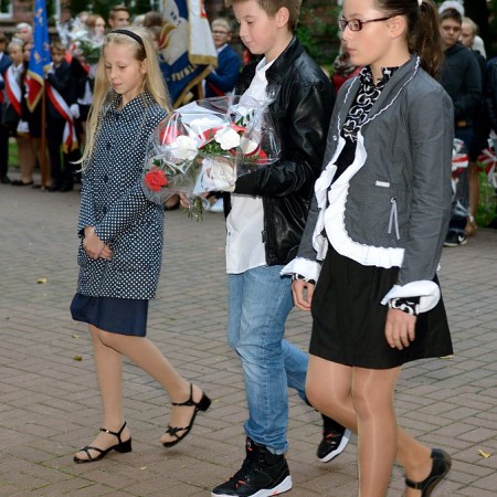 Wyświetl org. rozmiar