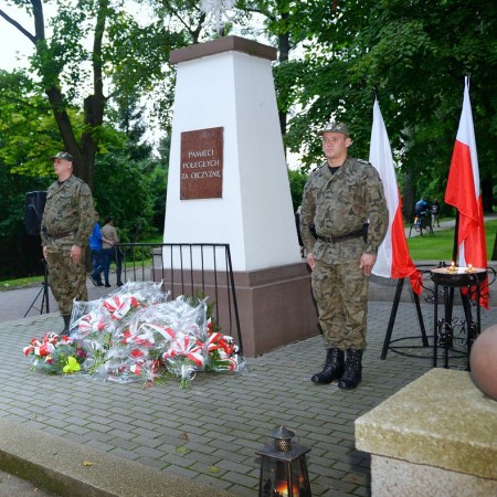 Wyświetl org. rozmiar