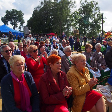 Wyświetl org. rozmiar
