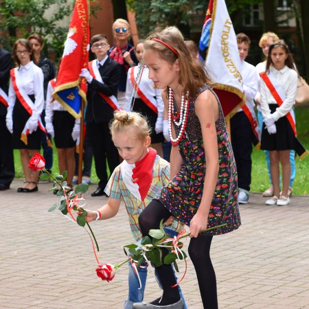 Wyświetl org. rozmiar