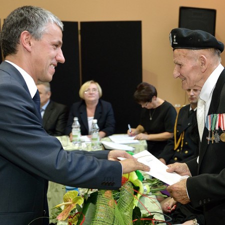Wyświetl org. rozmiar