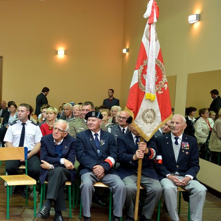 Wyświetl org. rozmiar