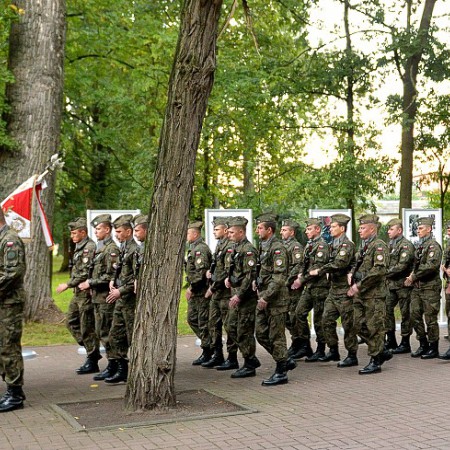 Wyświetl org. rozmiar