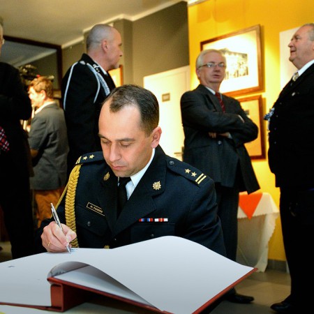 Wyświetl org. rozmiar