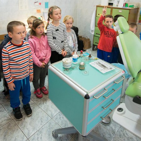 Wyświetl org. rozmiar