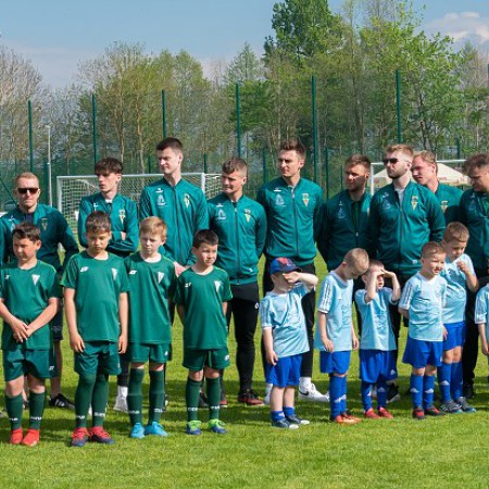 Wyświetl org. rozmiar
