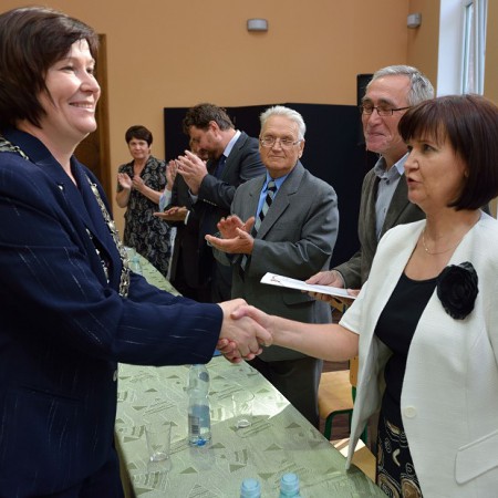 Wyświetl org. rozmiar