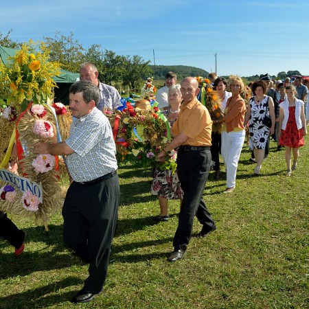 Wyświetl org. rozmiar