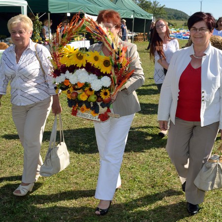 Wyświetl org. rozmiar