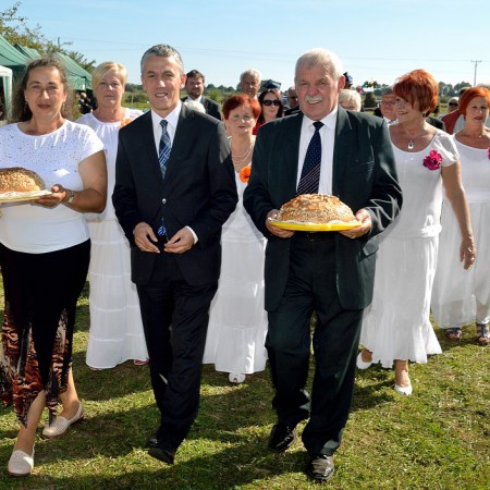 Wyświetl org. rozmiar