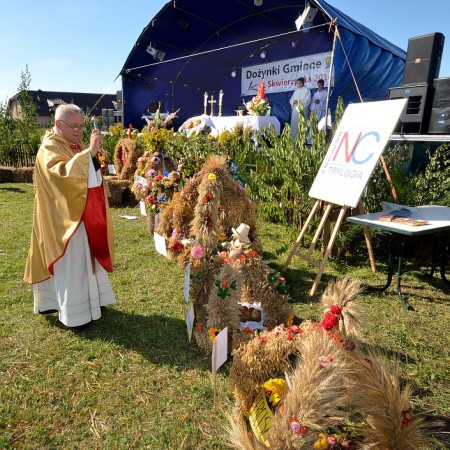 Wyświetl org. rozmiar