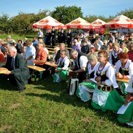 Wyświetl org. rozmiar
