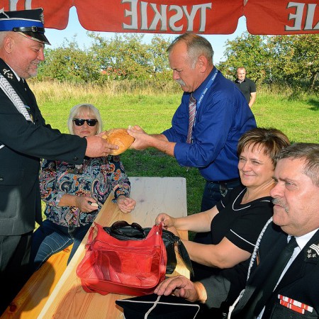 Wyświetl org. rozmiar