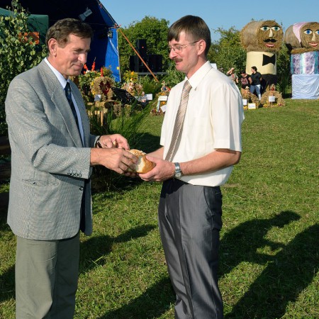 Wyświetl org. rozmiar
