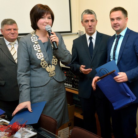 Wyświetl org. rozmiar