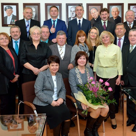 Wyświetl org. rozmiar