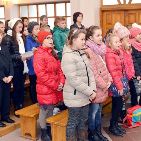 Wyświetl org. rozmiar