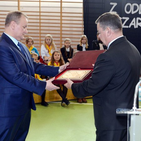 Wyświetl org. rozmiar
